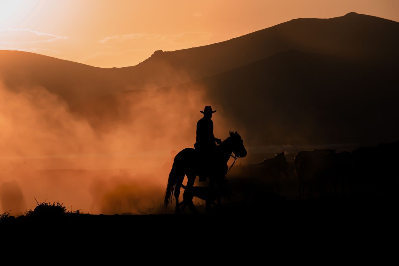 services-02 A cowboy on horseback silhouetted against a stunning sunset in a dusty desert landscape.